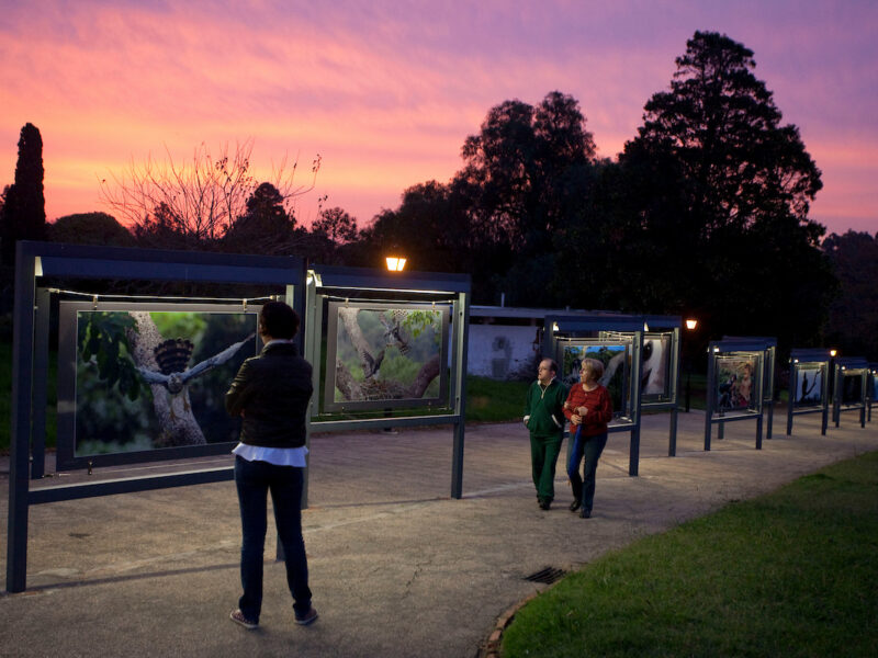 Bruto e Imperfeito: exposição Territorios y Encuentros em parque de Montevidéu ao entardecer