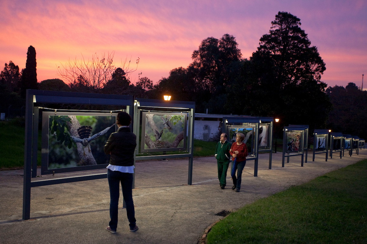 Bruto e Imperfeito: exposição Territorios y Encuentros em parque de Montevidéu ao entardecer