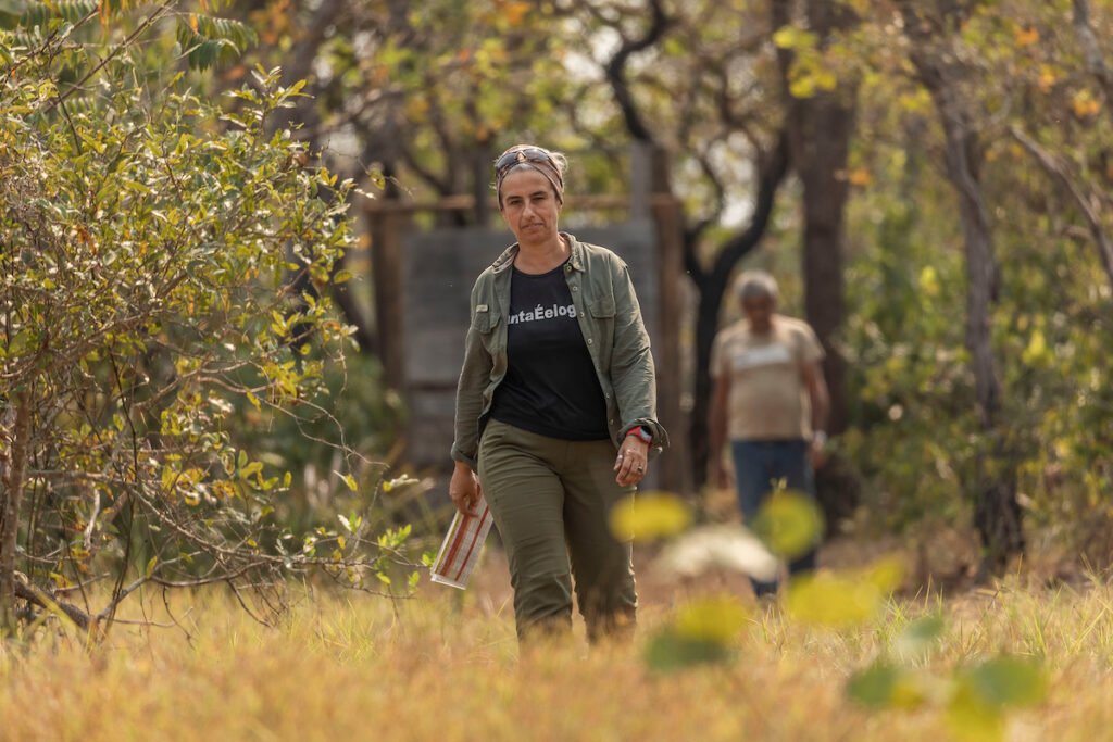 Pesquisadora Patrícia Medici caminha no Pantanal durante pesquisa com antas em Aquidauana (MS)