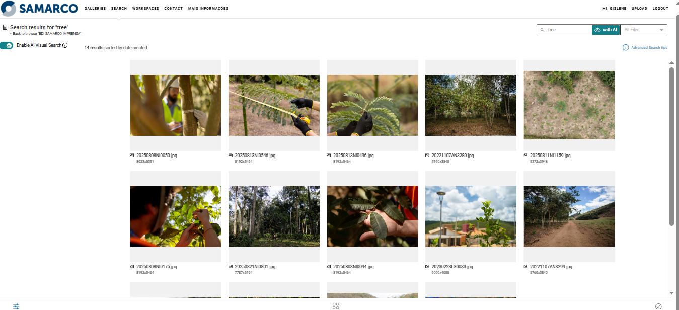Tela do sistema de gestão do banco de imagens da Samarco
