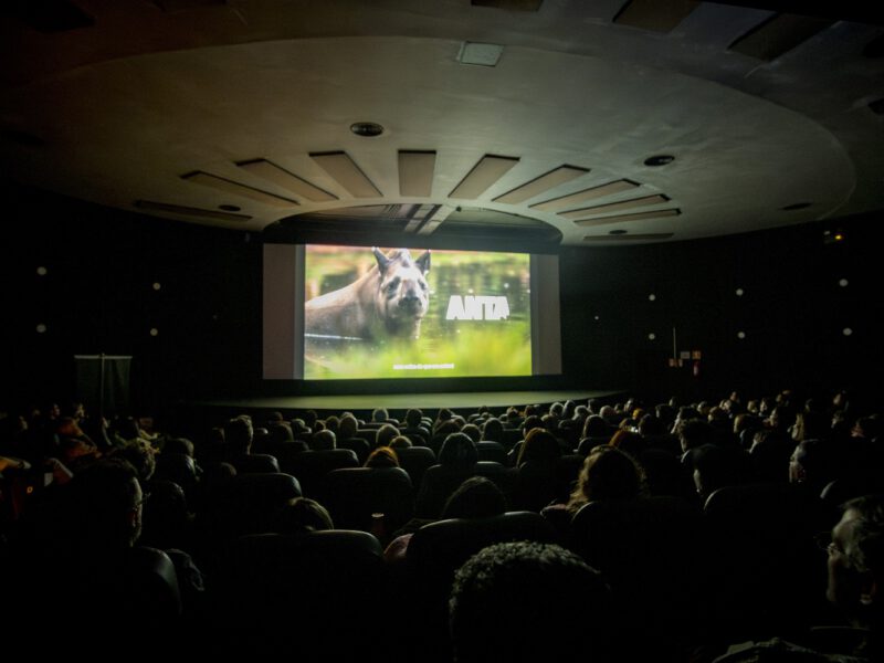 Lançamento do documentário ANTA no Espaço Petrobras de Cinema, com a sala lotada