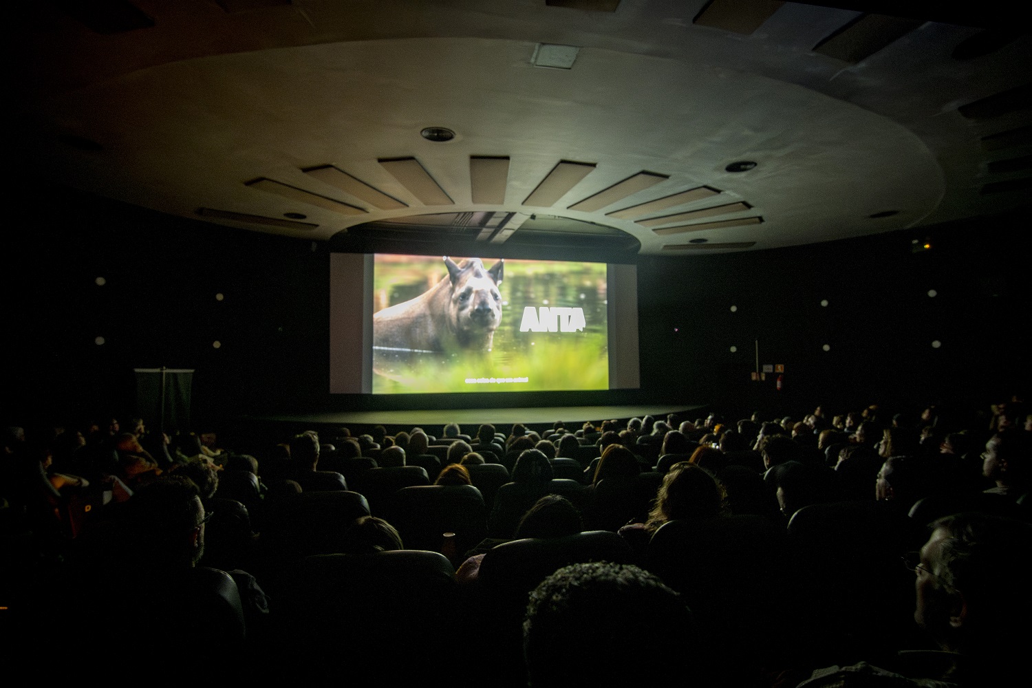 Lançamento do documentário ANTA no Espaço Petrobras de Cinema, com a sala lotada