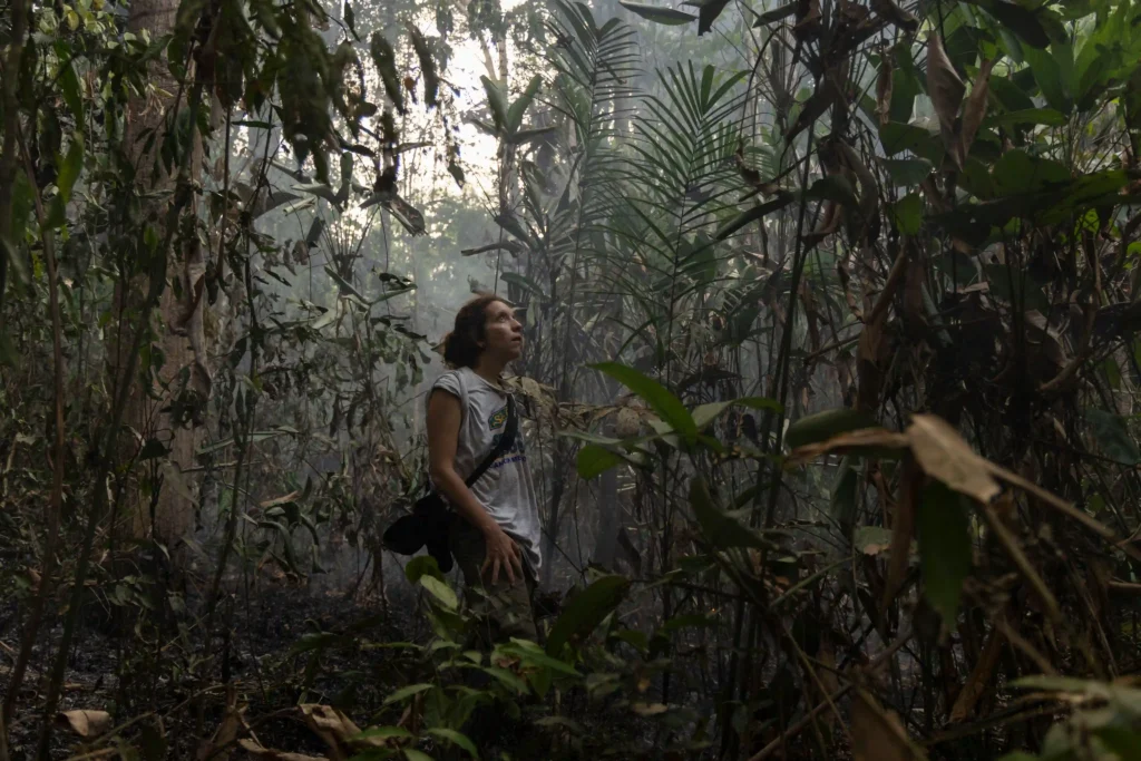 Mulheres na Conservação: pesquisadora observa as copas das árvores no interior da floresta