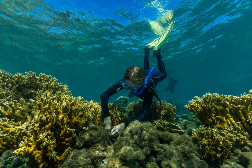 Mulheres na Conservação: pesquisadora mergulha entre corais no fundo do mar