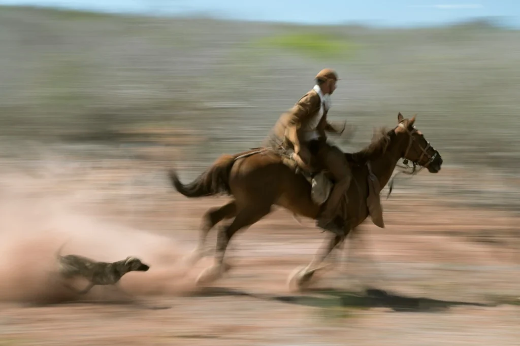 Jardins da Arara de Lear: vaqueiro a cavalo galopa na caatinga com cachorro