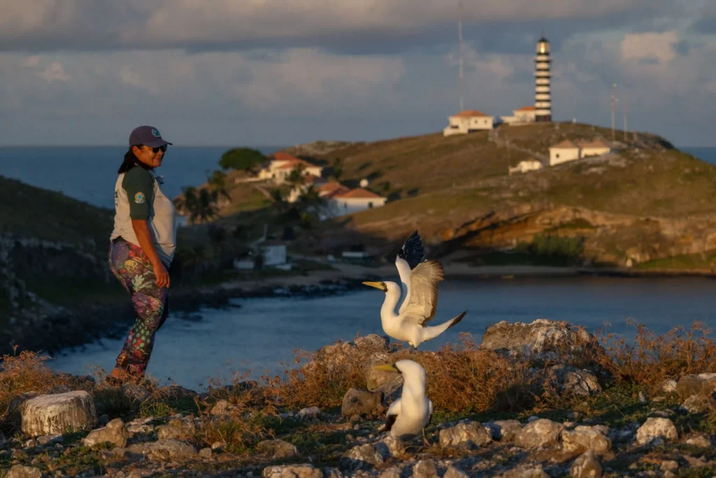 Mulheres na Conservação: pesquisadora observa aves marinhas em ilha com farol ao fundo