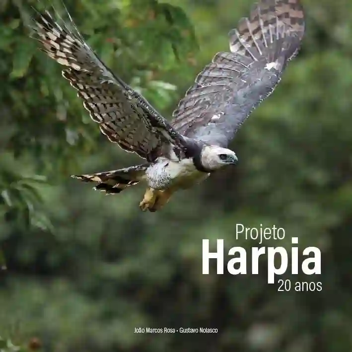 Livro Projeto Harpia 20 anos, capa com gavião-real em voo
