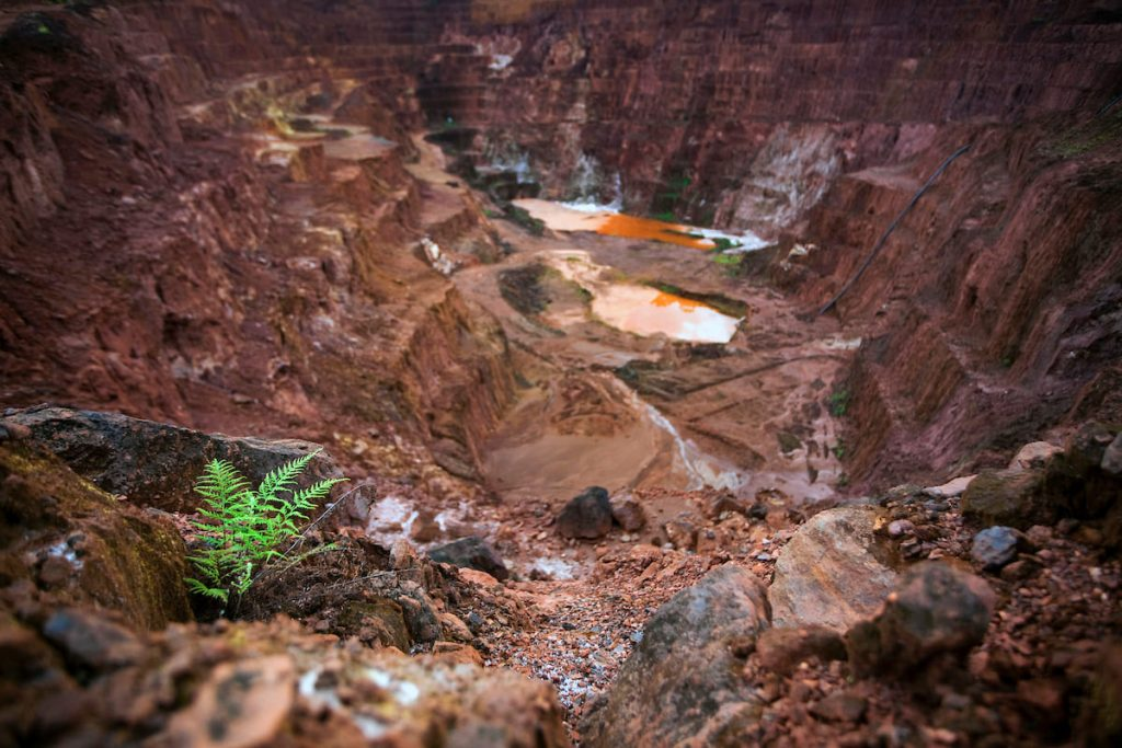Tramas: cava de mineração com samambaia em primeiro plano
