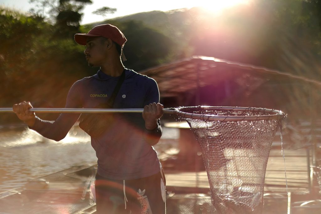 Cooperativas do Brasil: Maykon Douglas, da COPACOA, com puçá no viveiro de tilápias em Cabo de Santo Agostinho (PE)