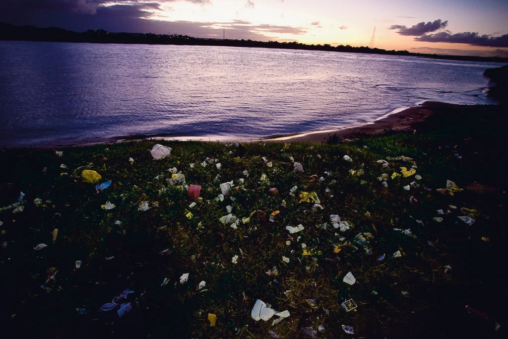 Os Chicos: flores e vegetação na margem do rio São Francisco ao anoitecer