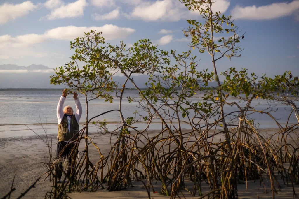 Mulheres na Conservação: pesquisadora fotografa vegetação de mangue na beira da praia