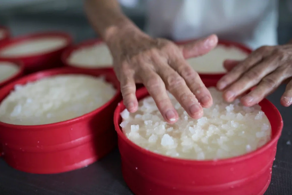 Queijo, Minas Gerais: mãos acomodam a massa do queijo nas formas vermelhas