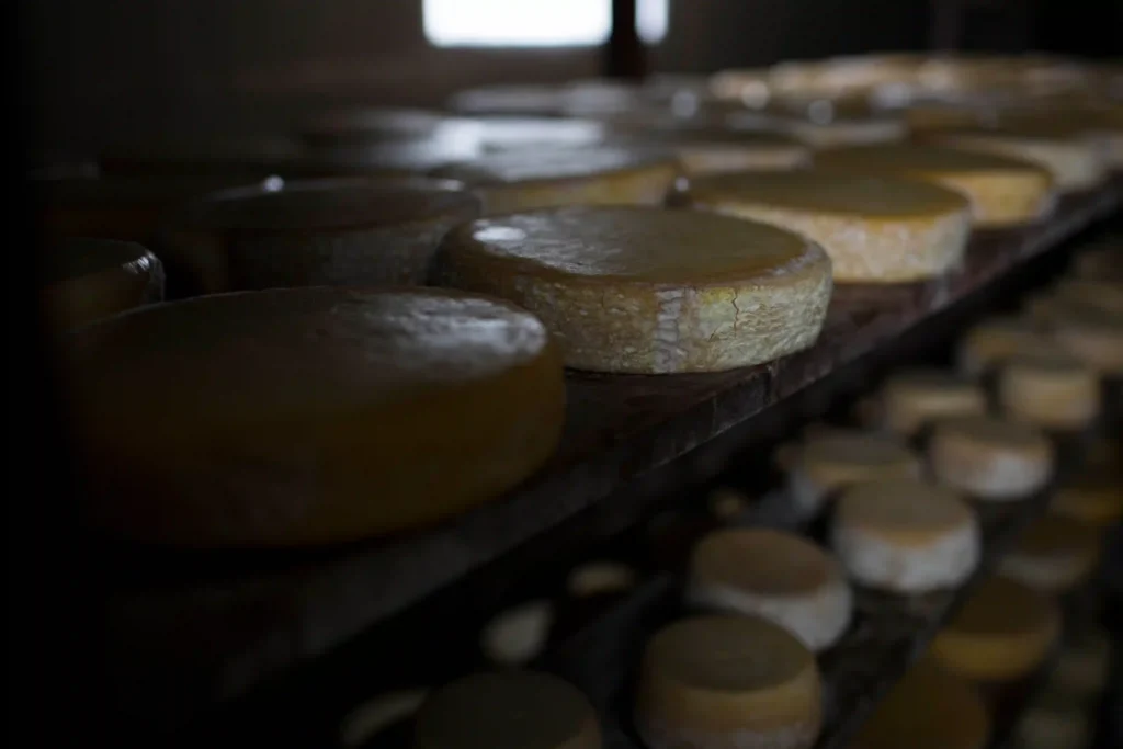 Queijo, Minas Gerais: queijos maturando em prateleiras de madeira