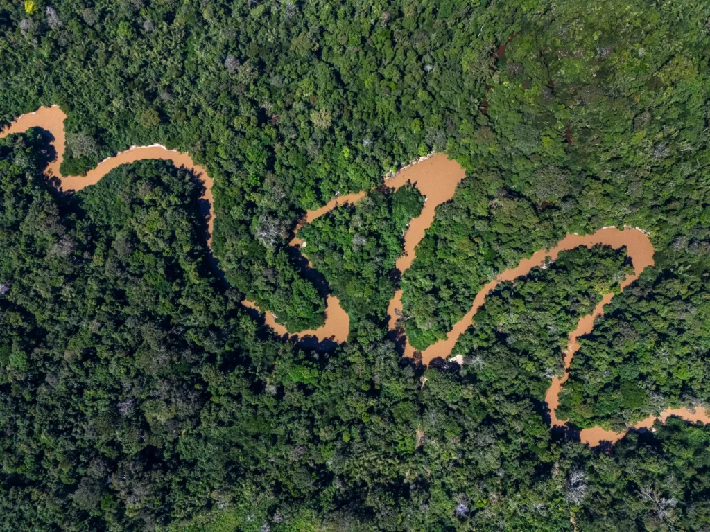 Retratos do Cooperativismo: rio sinuoso cortando a floresta amazônica, visto do alto