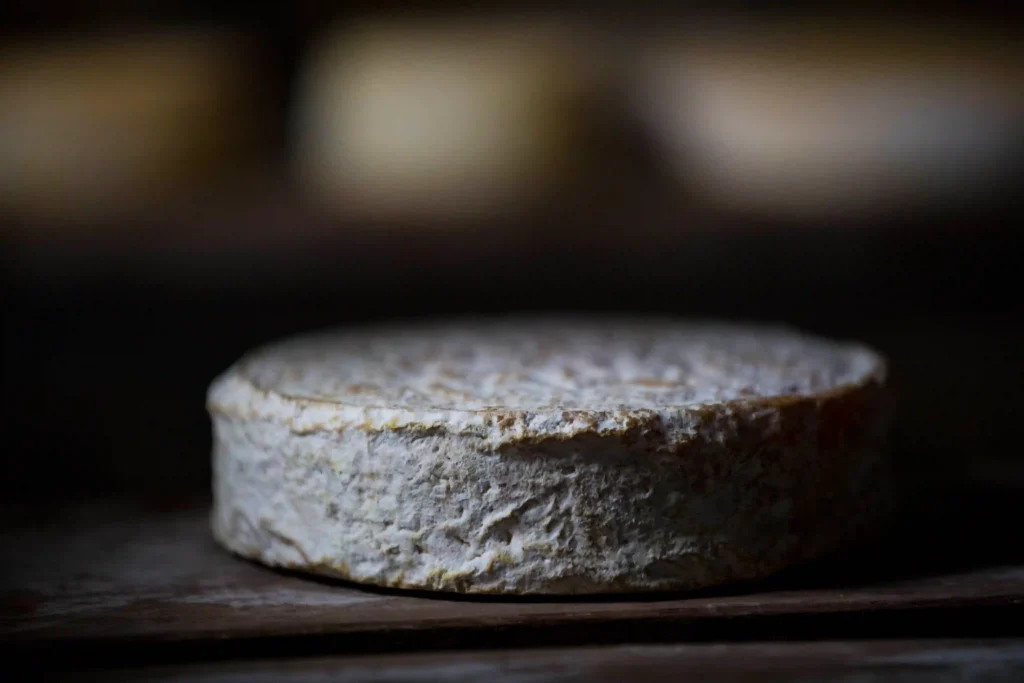 Queijo, Minas Gerais: close de queijo maturado com casca mofada