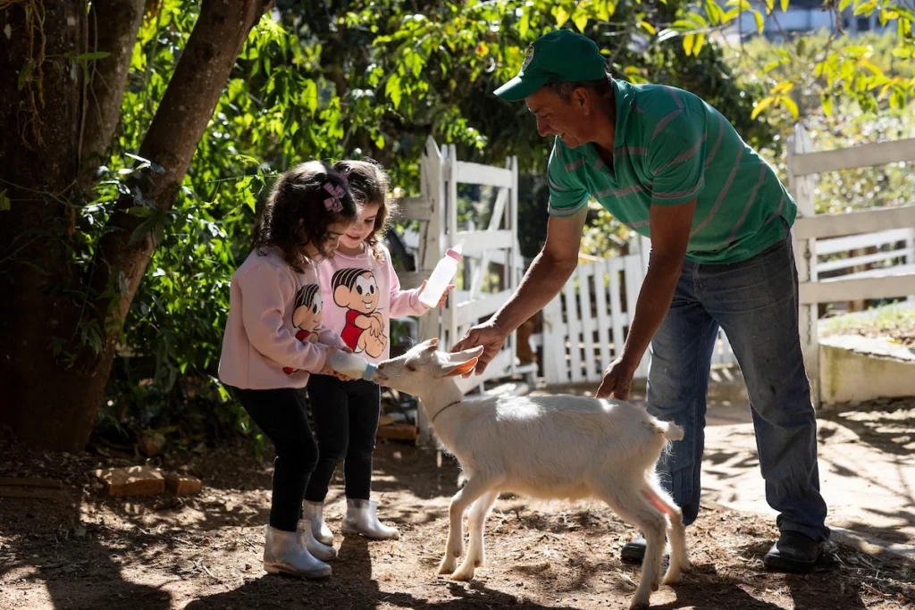 Sebrae Origem e Experiências Turísticas: crianças alimentam cabrito em sítio