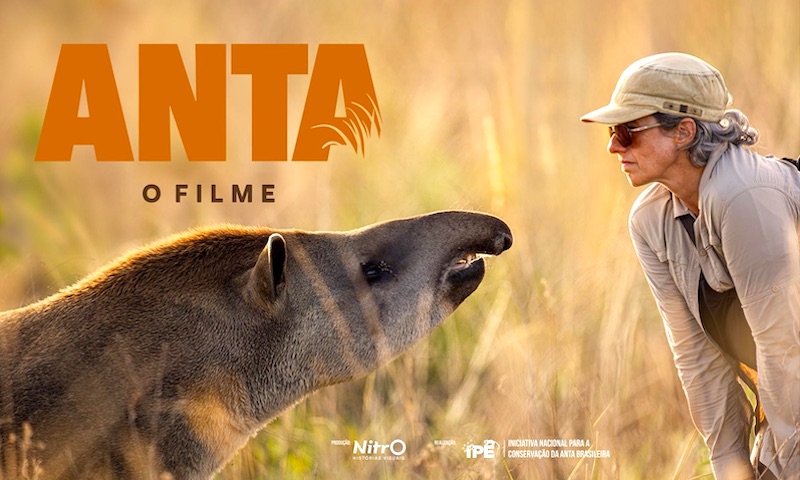 ANTA – O filme
