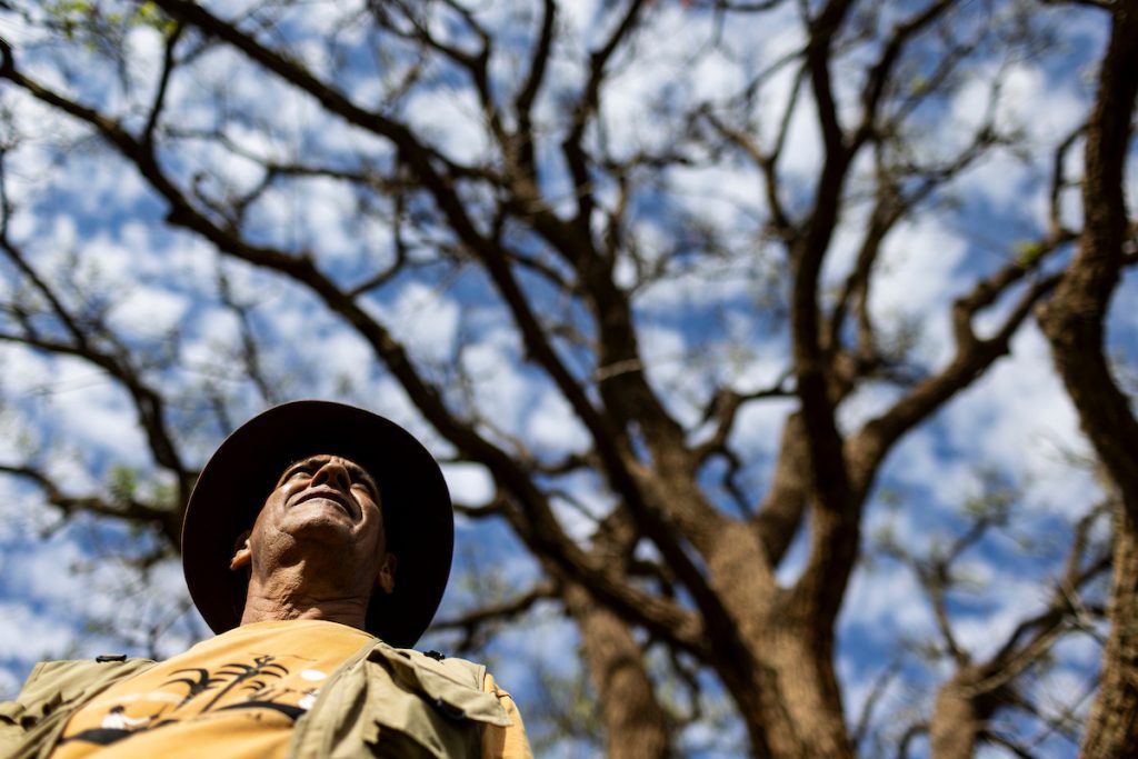 Cerrado: a raiz do Brasil: ambientalista Nereu Rios, de chapéu, sob árvore em Campo Grande (MS)