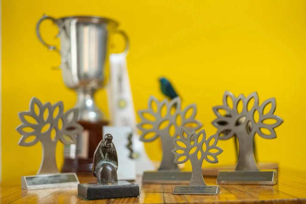Troféus e prêmios conquistados pela NITRO Histórias Visuais sobre mesa de madeira com fundo amarelo