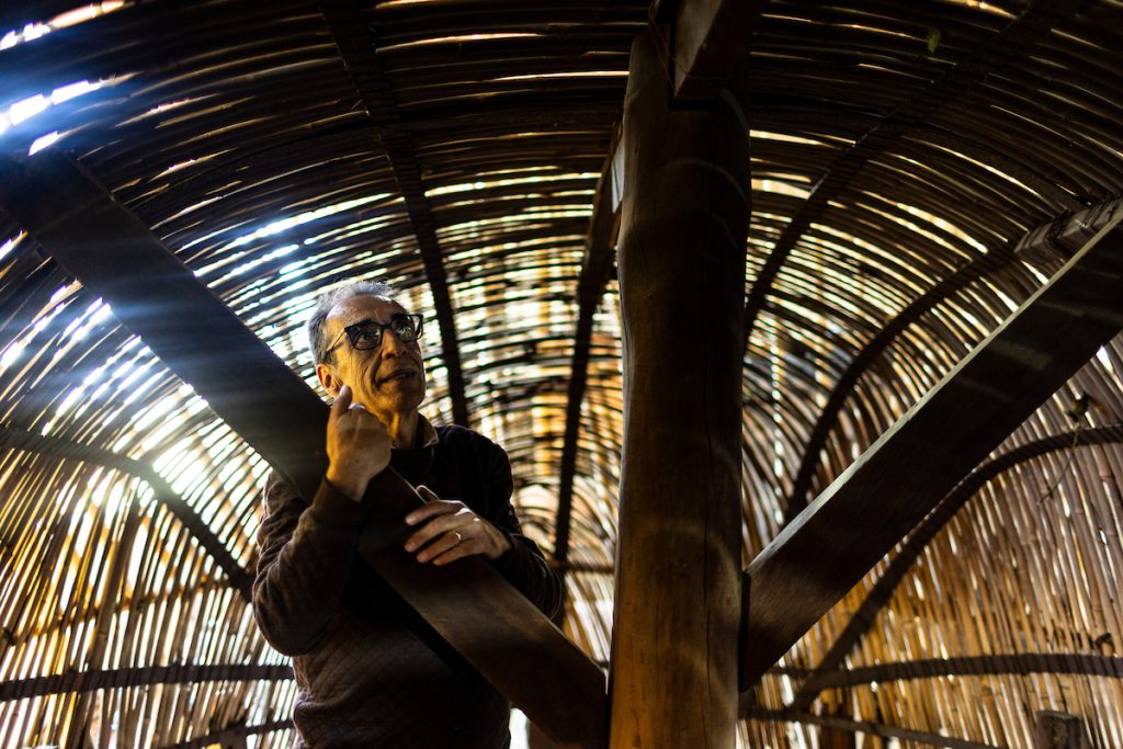 Cerrado: a raiz do Brasil: produtor de erva-mate Wilson de Assis sob estrutura de taquara em Amambai (MS)